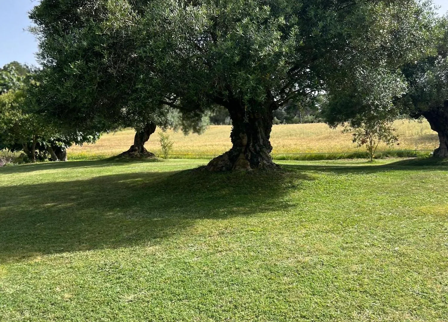 Can Figueretes Caldes de Malavella 0*,  Spain